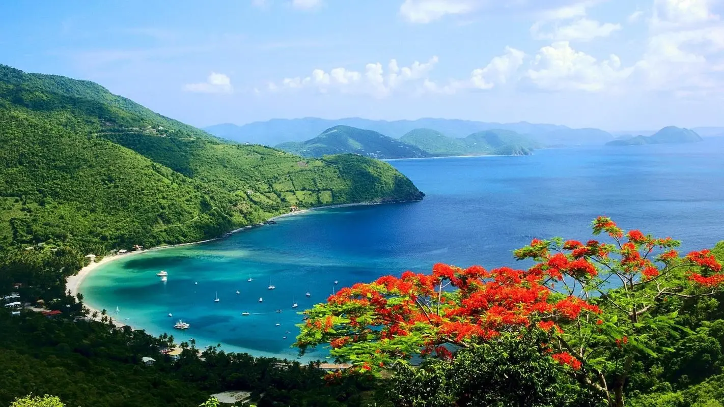 节能独特高标准